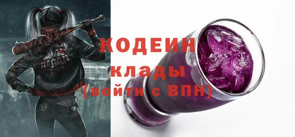 дживик Медвежьегорск
