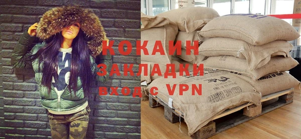 прущие грибы Магадан