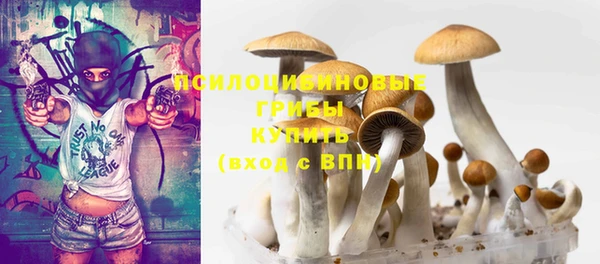 spice Мегион