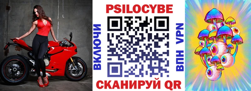 MEGA как войти  Нариманов  Псилоцибиновые грибы Psilocybe  купить наркоту 